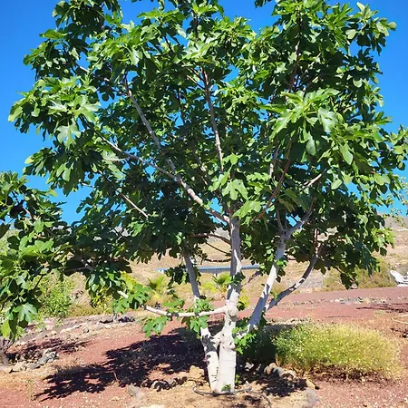 Сasa de vacaciones Arcoíris Tenerife Vv