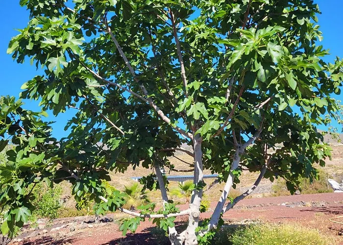 בית נופש Arcoiris Tenerife Vv